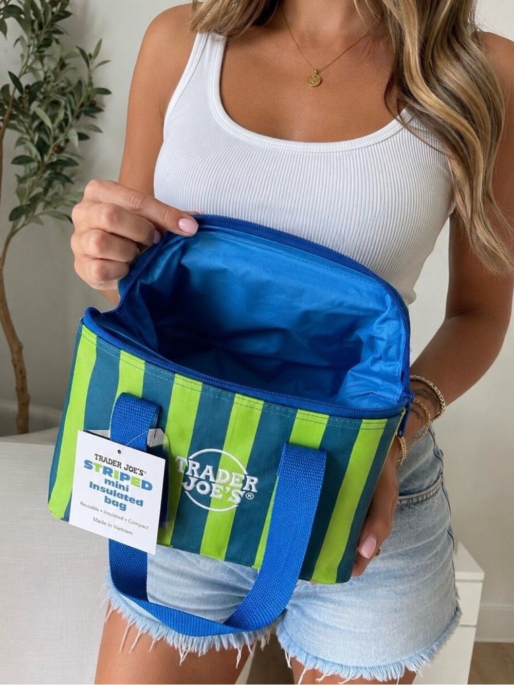 NWT Trader Joe's Striped Insulated Tote - Blue & Lime Green